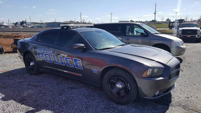 Decals on the side of a police cruiser.