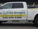 Truck decals for a tree company.